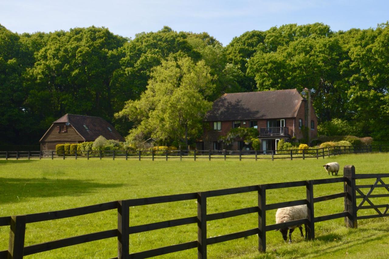 Graffham The Hideaway-South Downs National Park 아파트 외부 사진