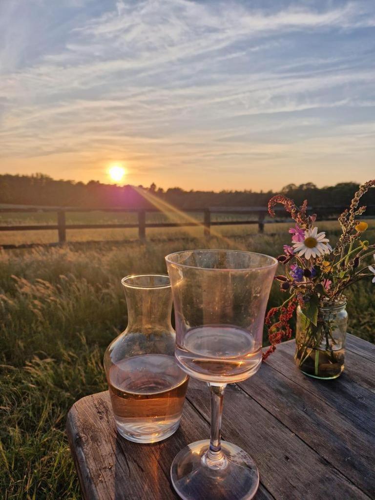 Graffham The Hideaway-South Downs National Park 아파트 외부 사진