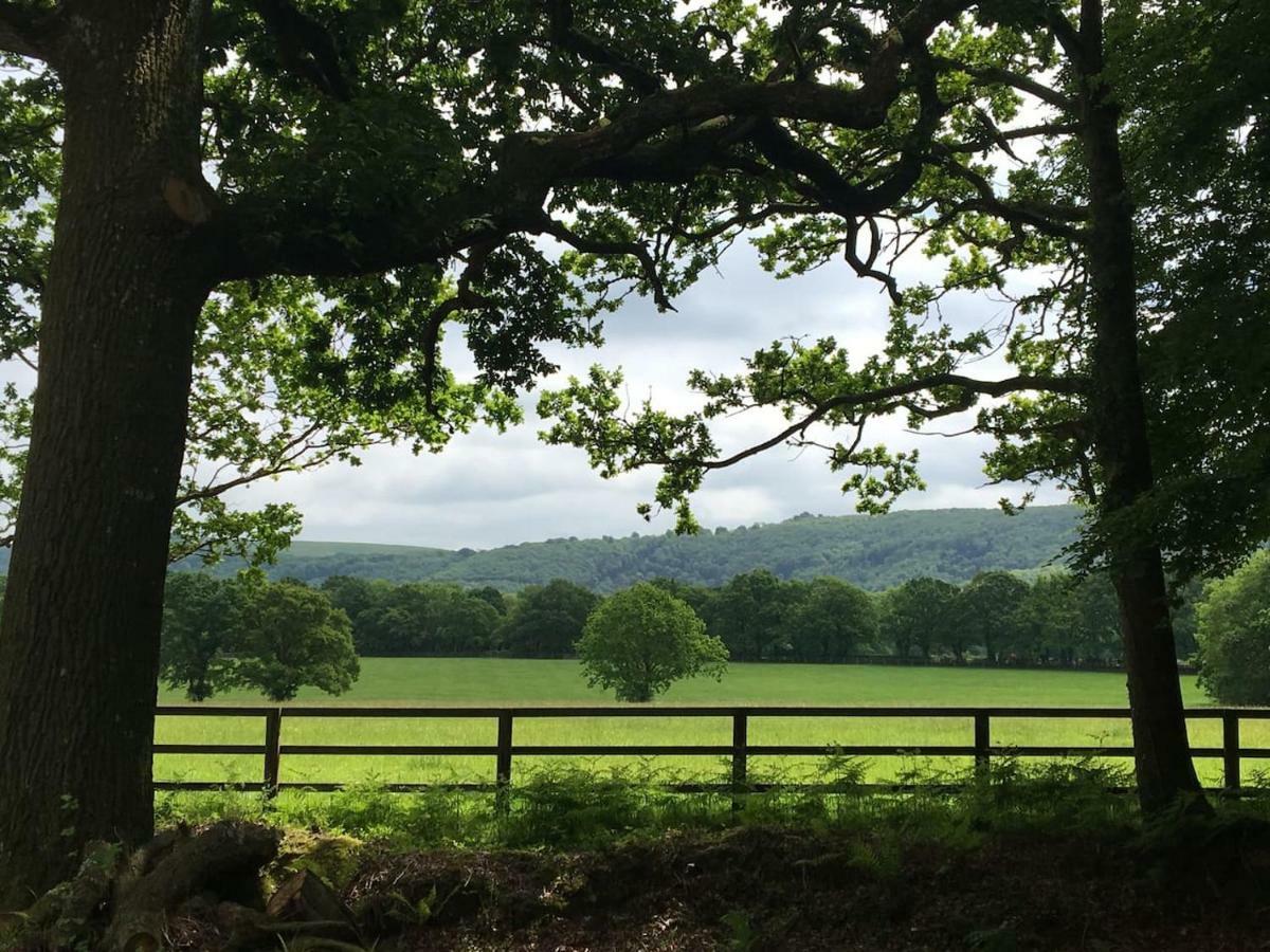 Graffham The Hideaway-South Downs National Park 아파트 외부 사진