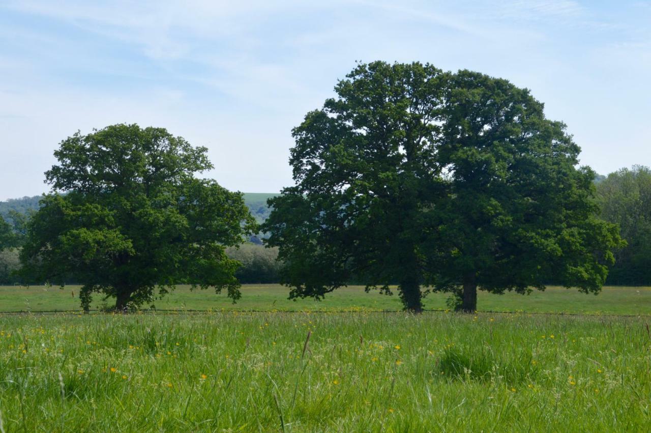 Graffham The Hideaway-South Downs National Park 아파트 외부 사진