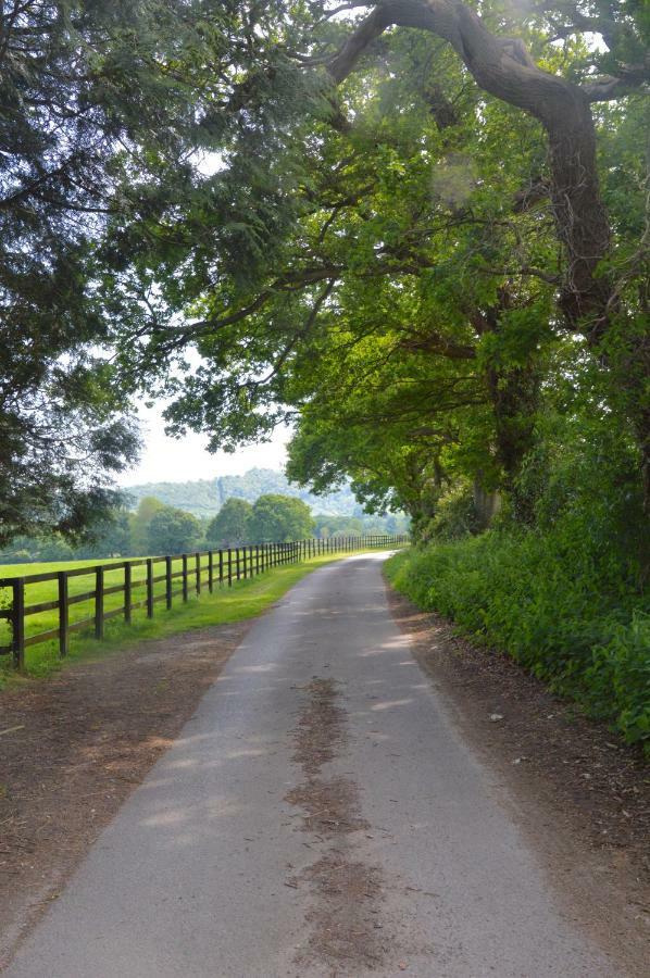 Graffham The Hideaway-South Downs National Park 아파트 외부 사진